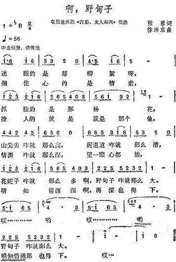 ����Ұ����(���ָ��V)3