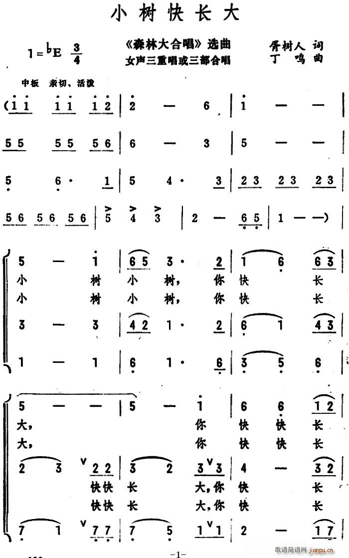 С��(sh��)���L(ch��ng)�� ɭ�ִ�ϳ� �x�� Ů���س��������ϳ�(�ϳ��V)1