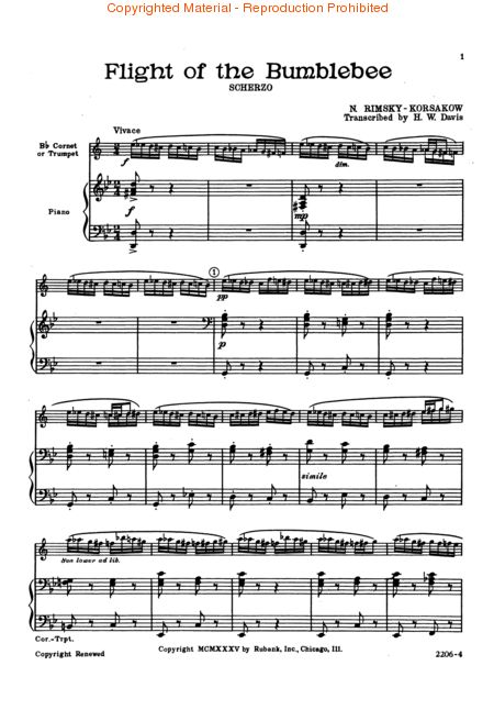 flight(������(l�� )�V)1