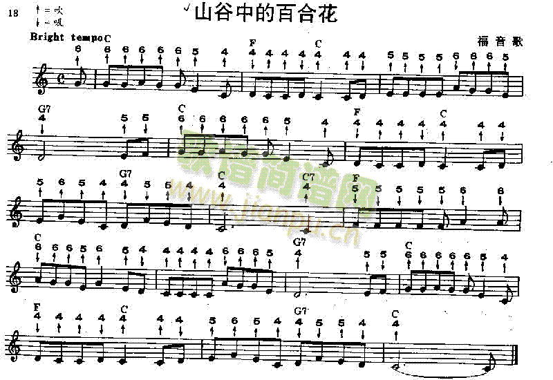 ɽ���еİٺϻ������V(������(l�� )�V)1