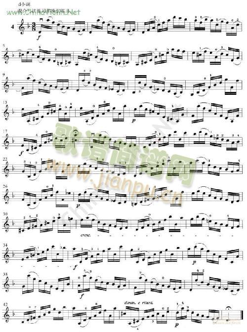 �D��(С�����V)5