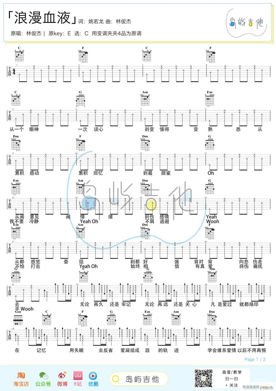 ����ѪҺ(�����V)1