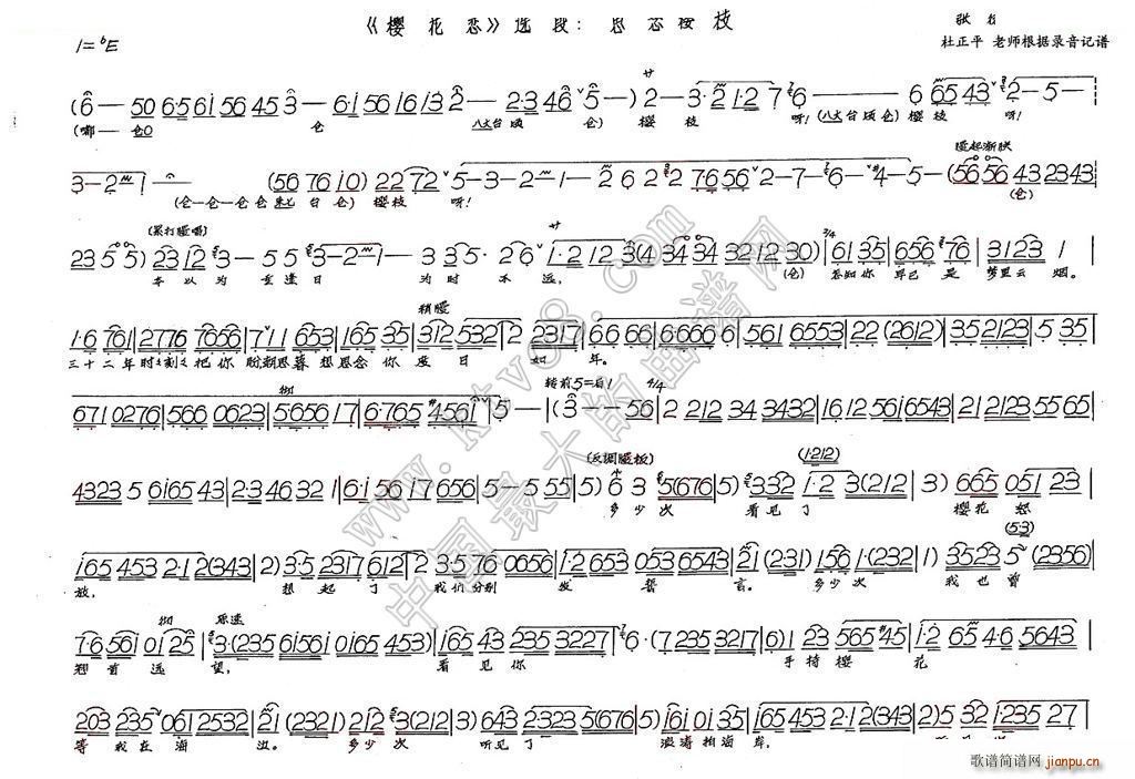 ˼���֦(���ָ��V)1