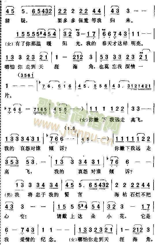 �������ߵ����ĺ���(���ָ��V)3