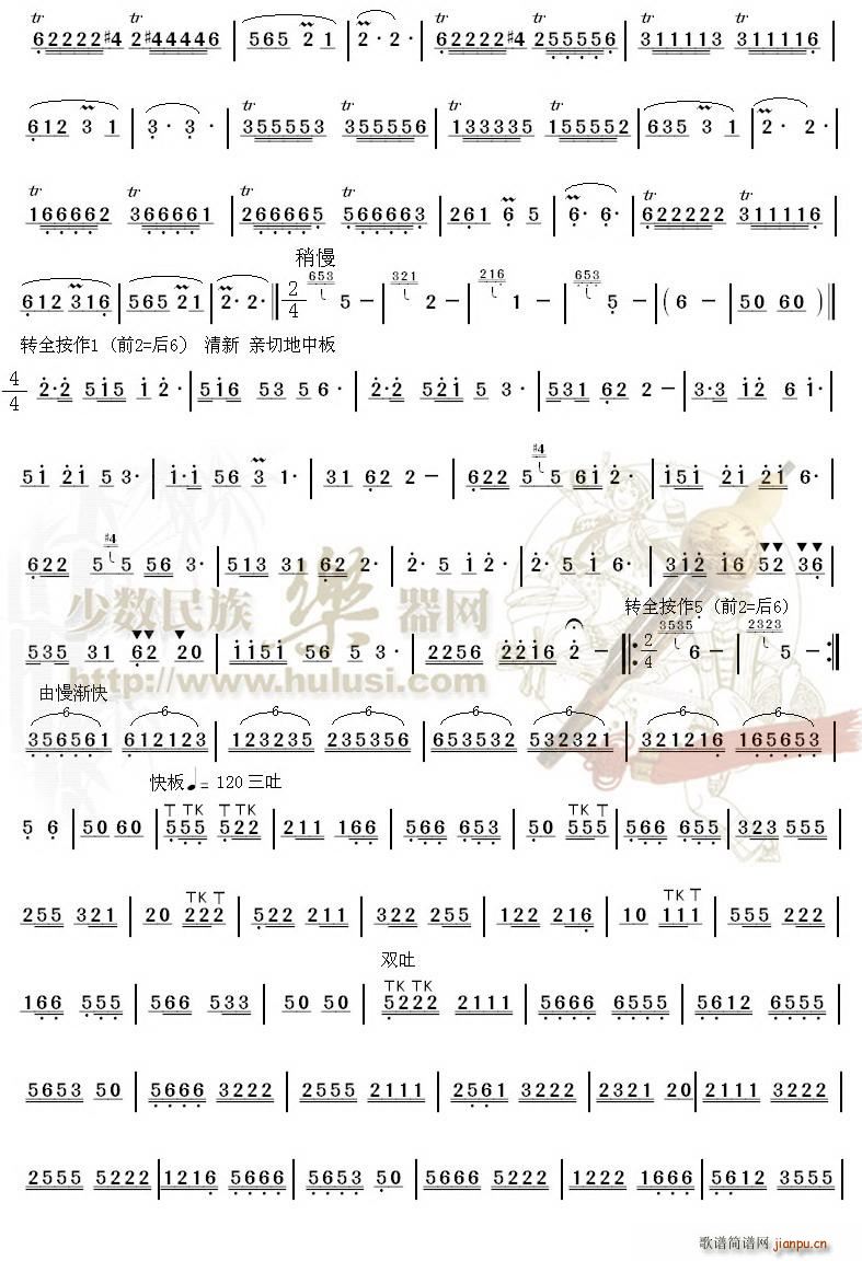 �ƎX����(���J�z�V)5