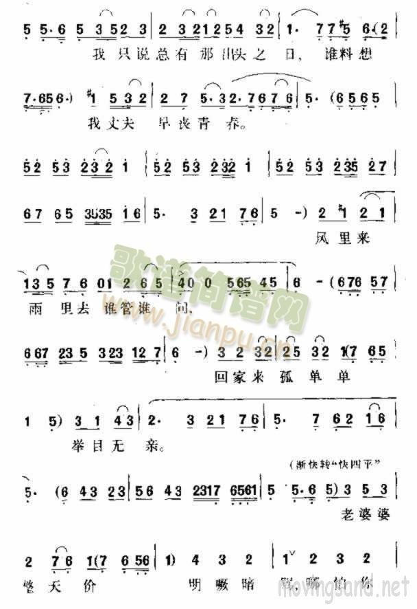 ����(���ָ��V)3