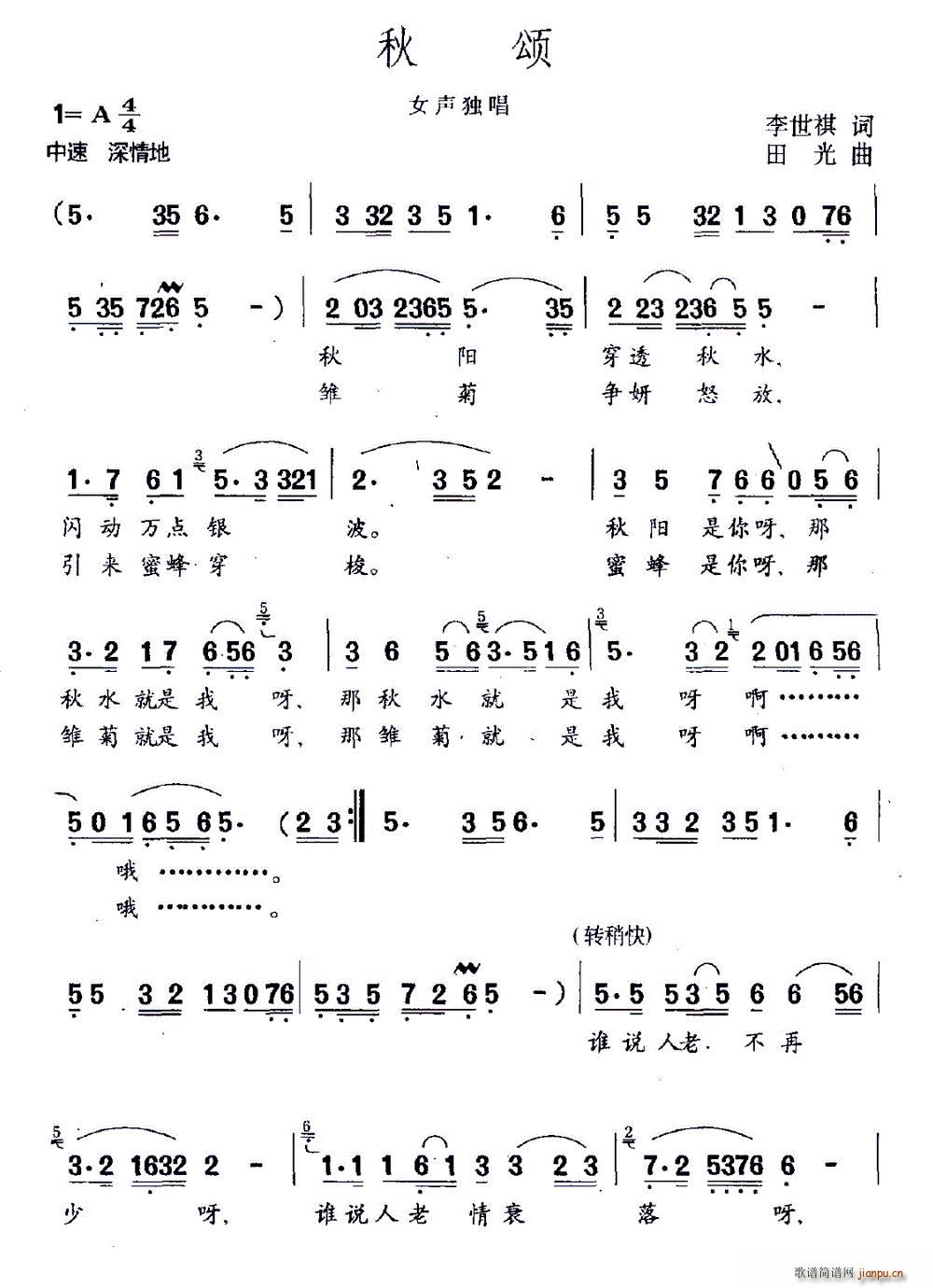 ���(���ָ��V)1