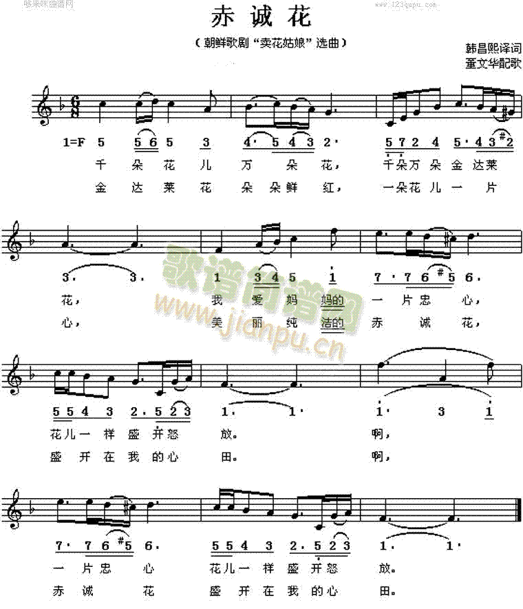 ���\��(���ָ��V)1