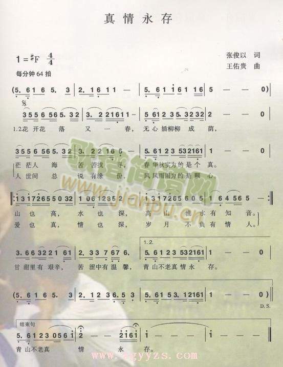 ��������(���ָ��V)1