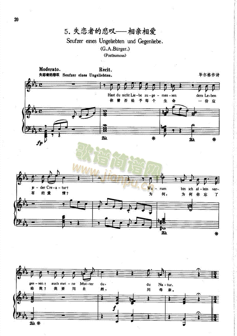 ʧ���ߵı��@�����H����(��i)�����(l��i)��ٰ����V(������(l�� )�V)1