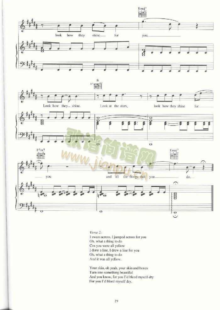 YELLOW(�����V)6