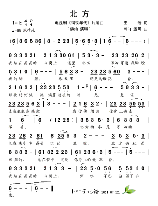 ����(���ָ��V)1