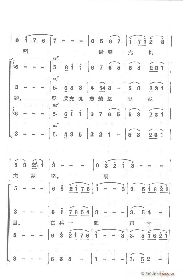 �t܊�����h���y  ���濂�V31-65(���V)15