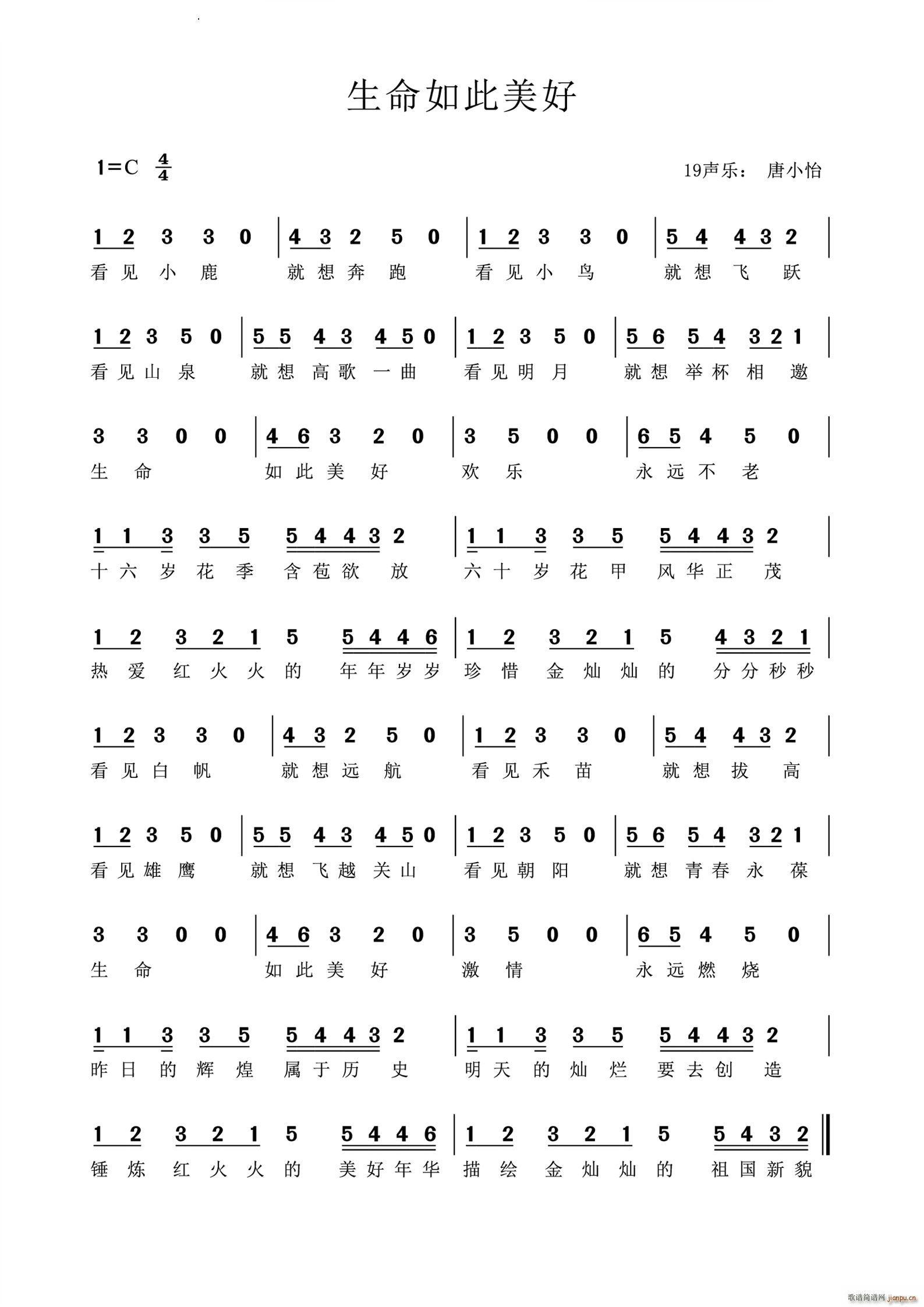 �����������(���ָ��V)1