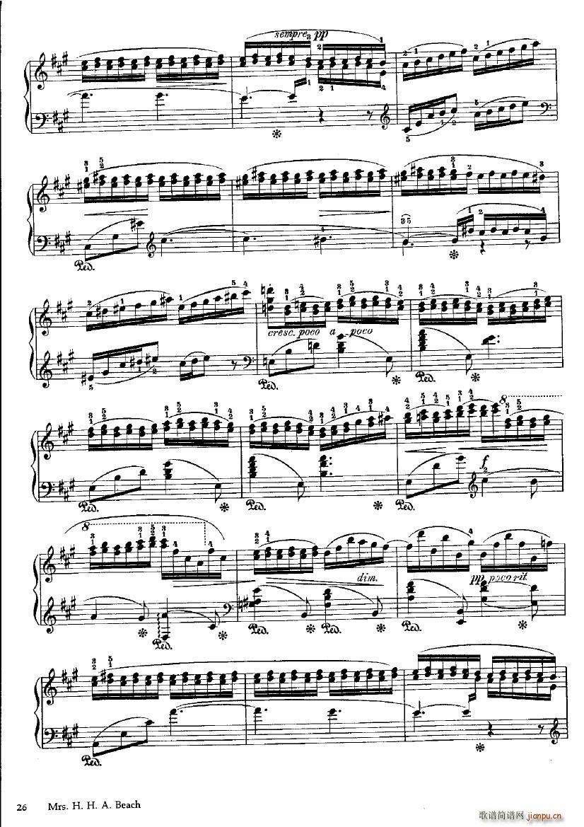 Beach Fire Flies(����V)5