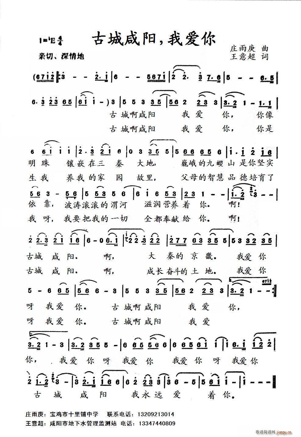 �ų����(y��ng) �Ґ�(��i)��(���ָ��V)1