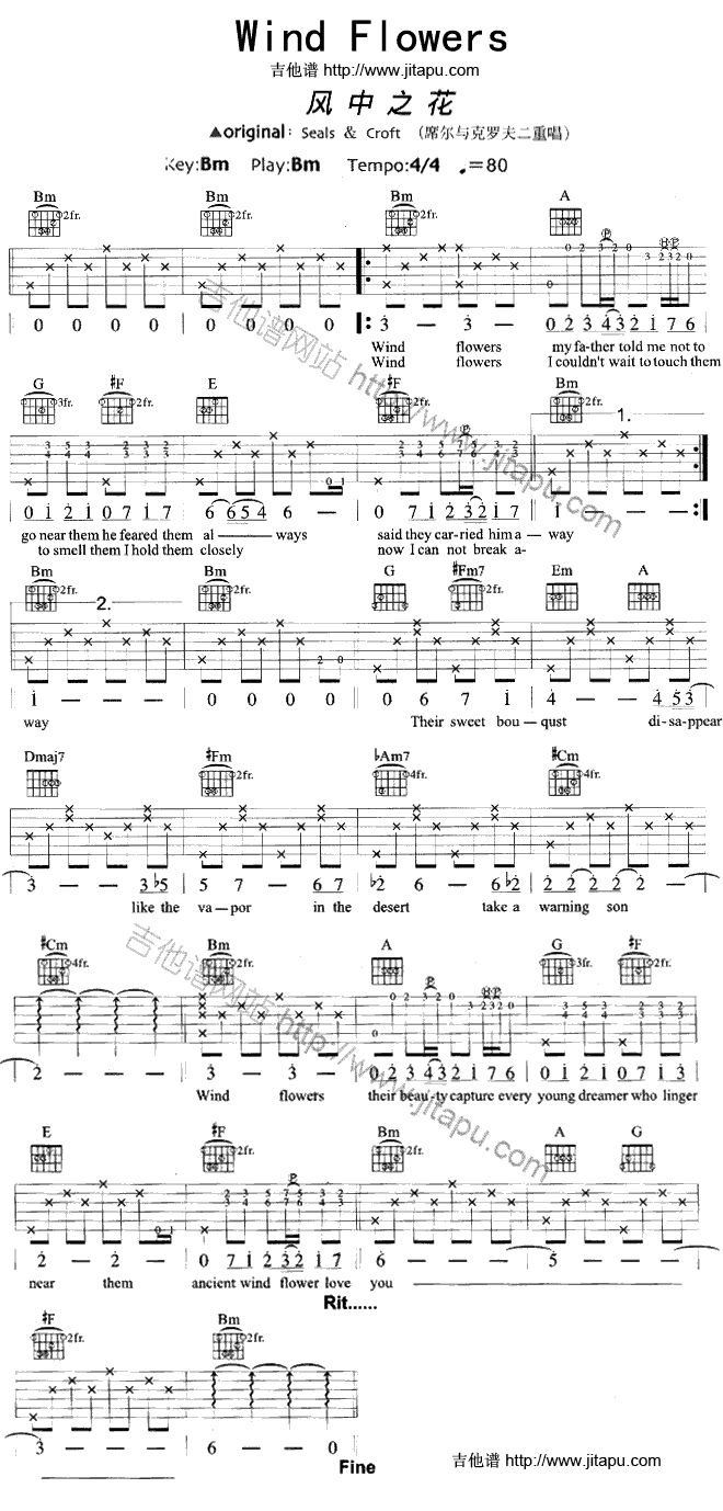 WindFlowers(�����V)1