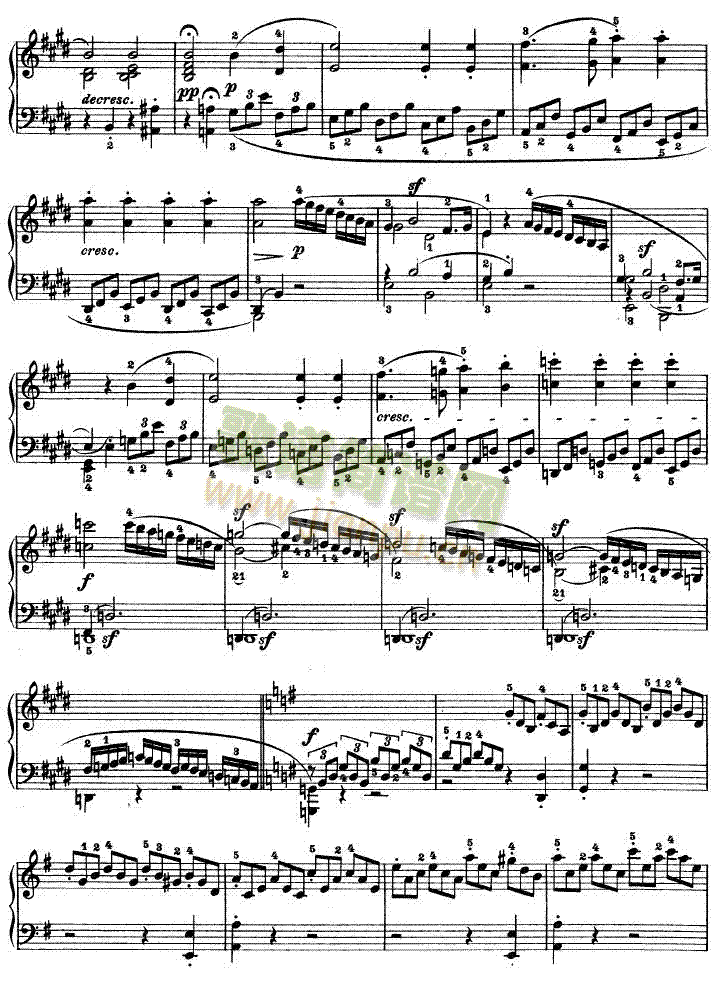 E���{�ھ�������Q����Op.14No��1(����V)10