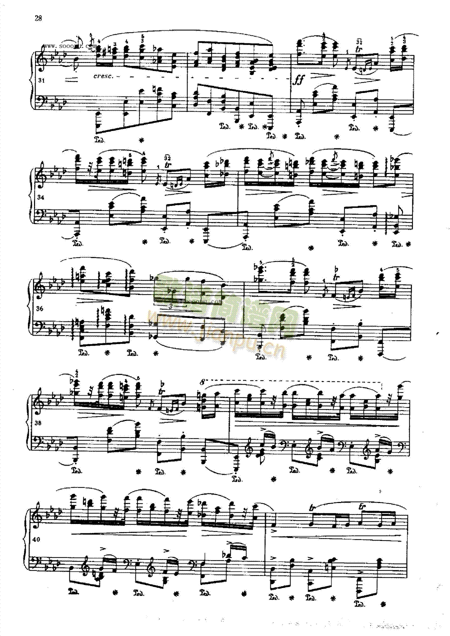 ������ƝOP.53�I�P(p��n)�(l��i)���(������(l�� )�V)3