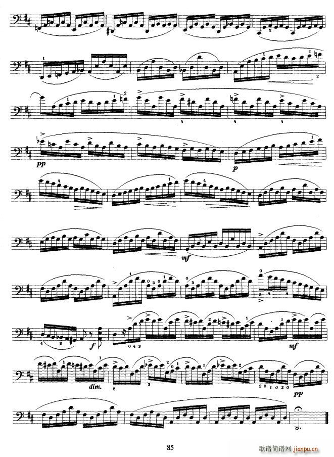 �����ٿ����̳� �ھż�(�������V)7