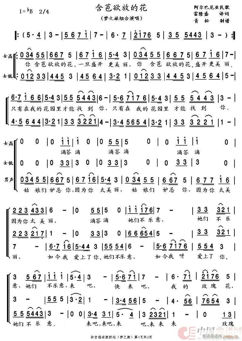 �������ŵĻ� ��(m��ng)֮�ð�(ʮ�ּ�����)1