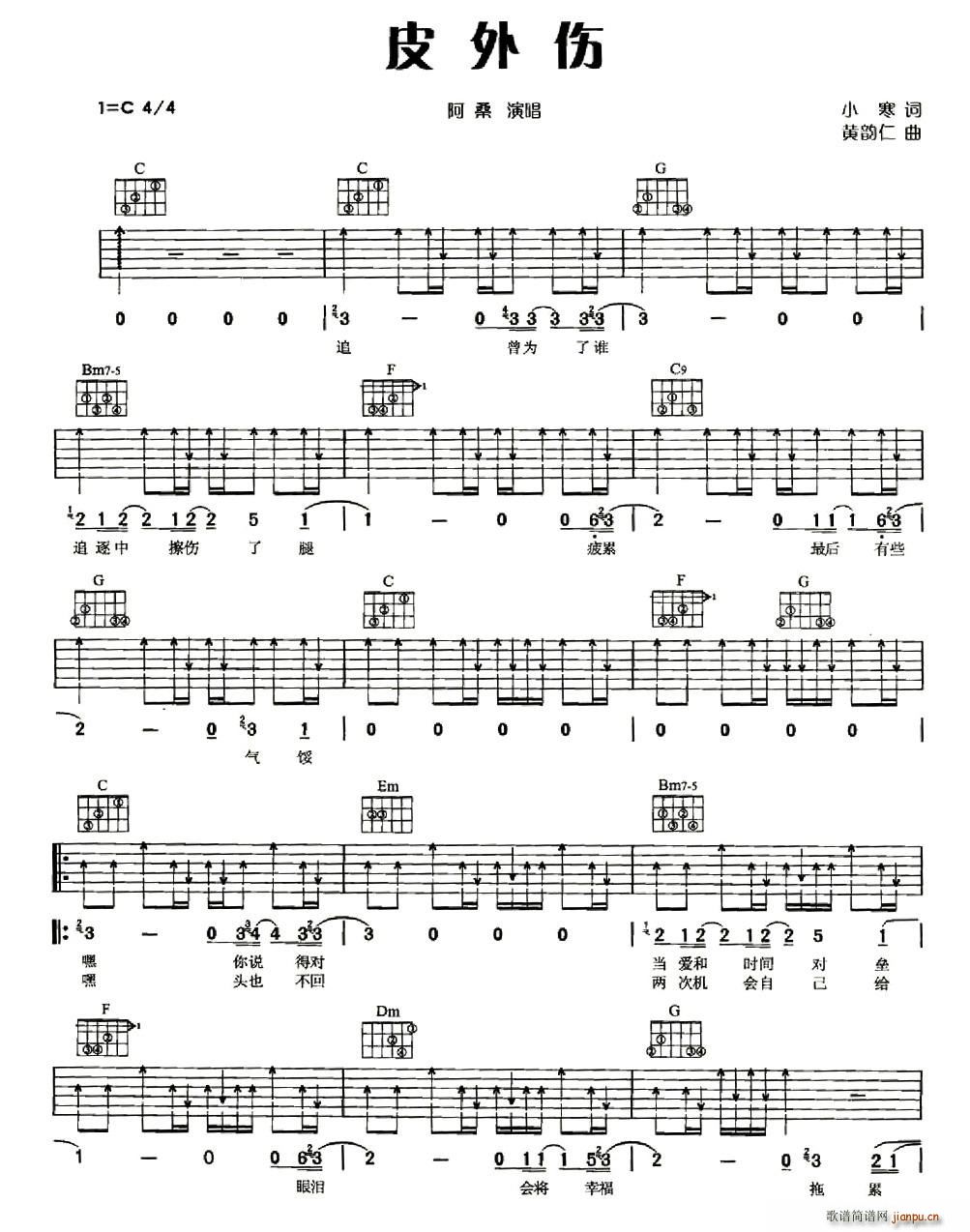 Ƥ���(���ָ��V)1