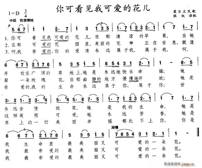 ��ɿ�Ҋ(ji��n)�ҿɐ�(��i)�Ļ���(ʮ�ּ�����)1