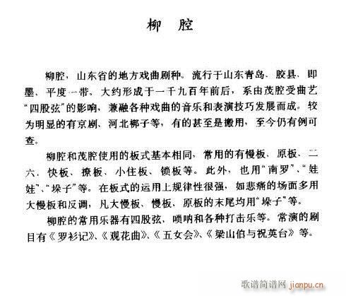 ��ǻ��B(���ָ��V)1