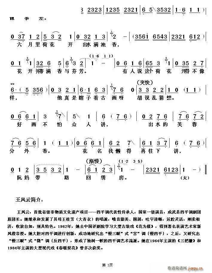 ��ƽ�{ ����(ԥ�����V)3