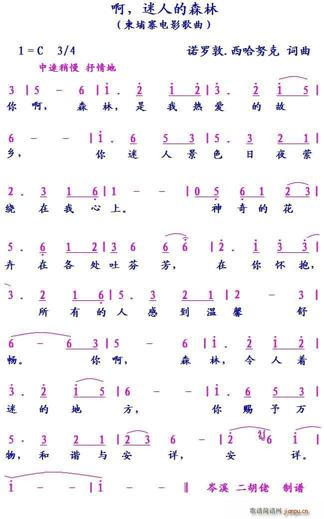 ����կ �� ���˵�ɭ��(ʮ�ּ�����)1