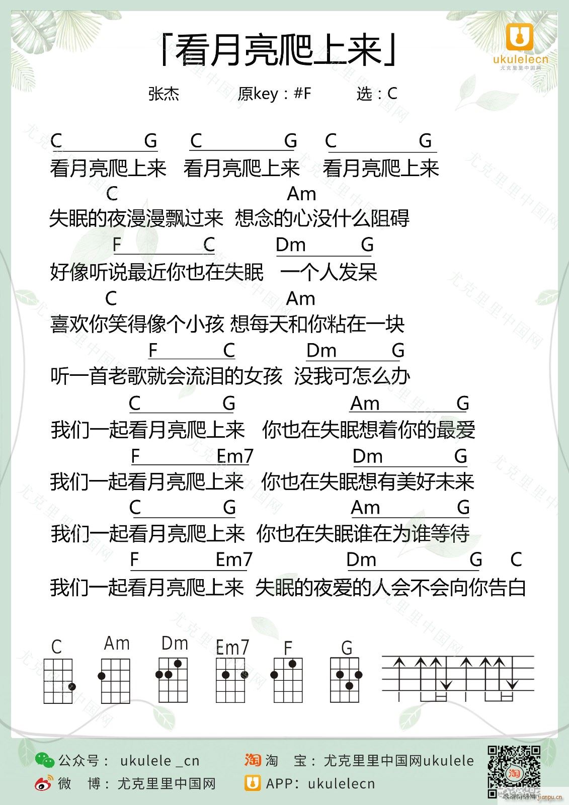 ���������ρ�(l��i)�ȿ������V C�{(ʮ�ּ�����)1