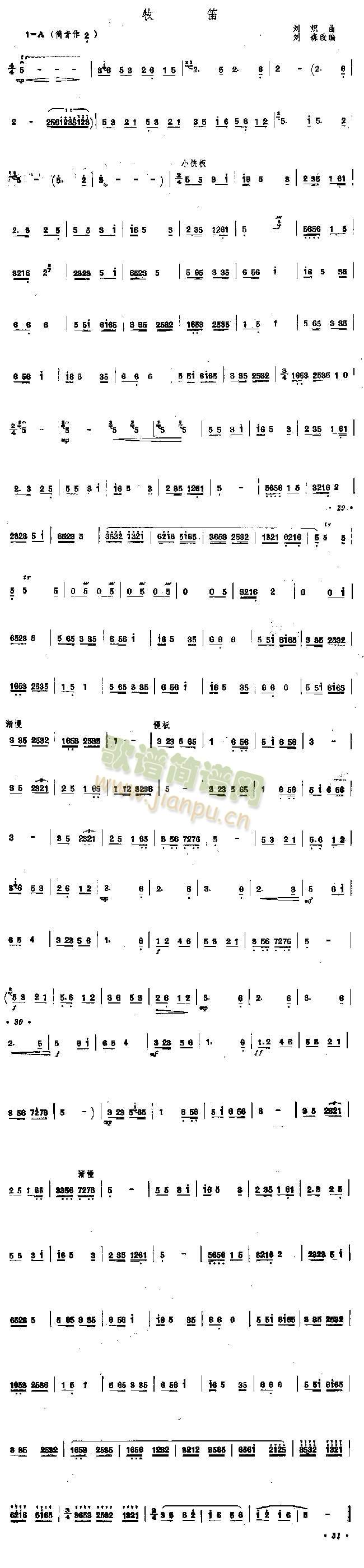 ����(���ָ��V)1