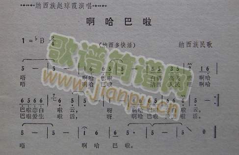 ��������(���ָ��V)1