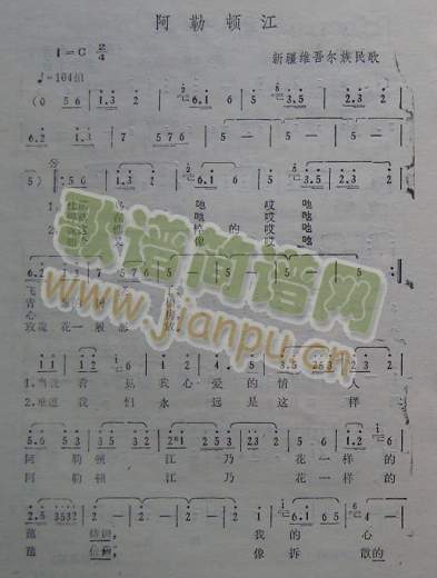 �����D��(���ָ��V)1