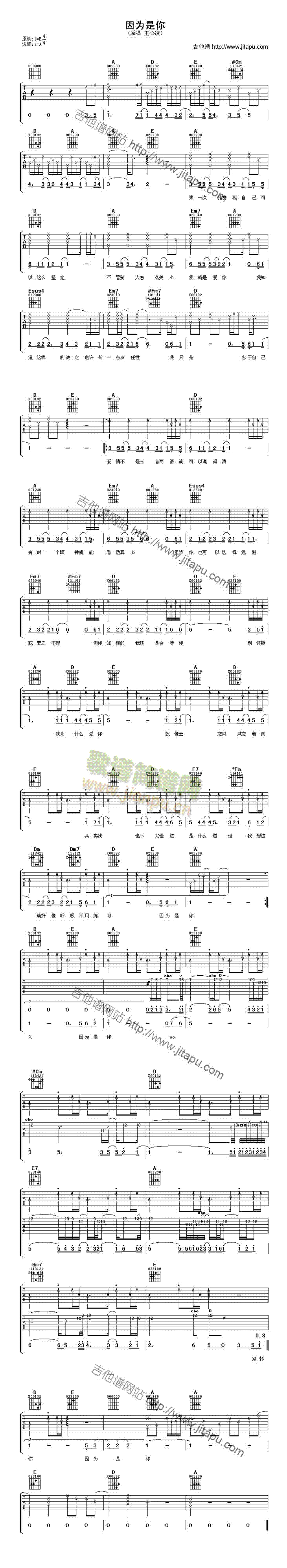 �������(�����V)1