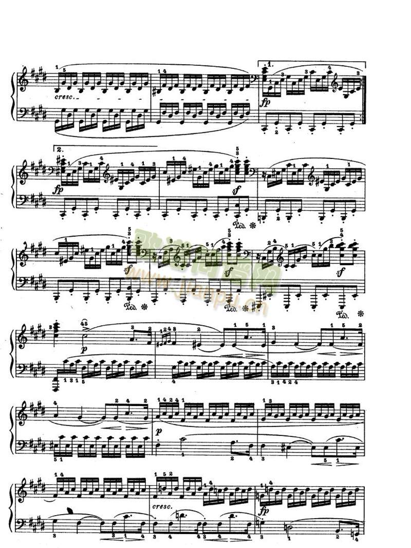 moonlight8-14(����)1