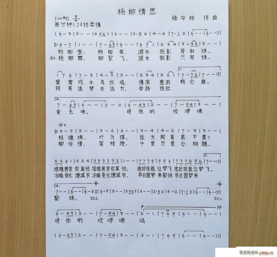 ������˼(���ָ��V)1