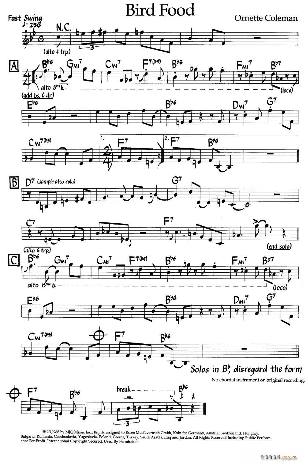 Bird Food ��ʿ�����(����V)1