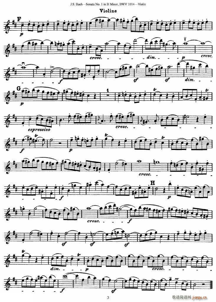 �ͺ�С�������Q��No.1bС�{(С�����V)3