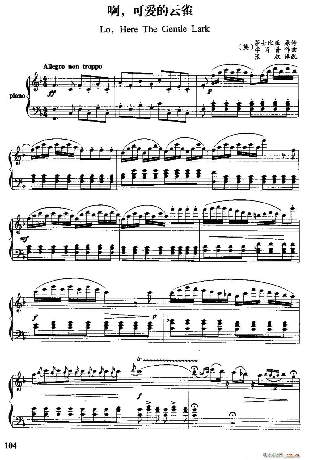 Ӣ �� �ɐ�(��i)����ȸ �����Č���(ʮ�ּ�����)1