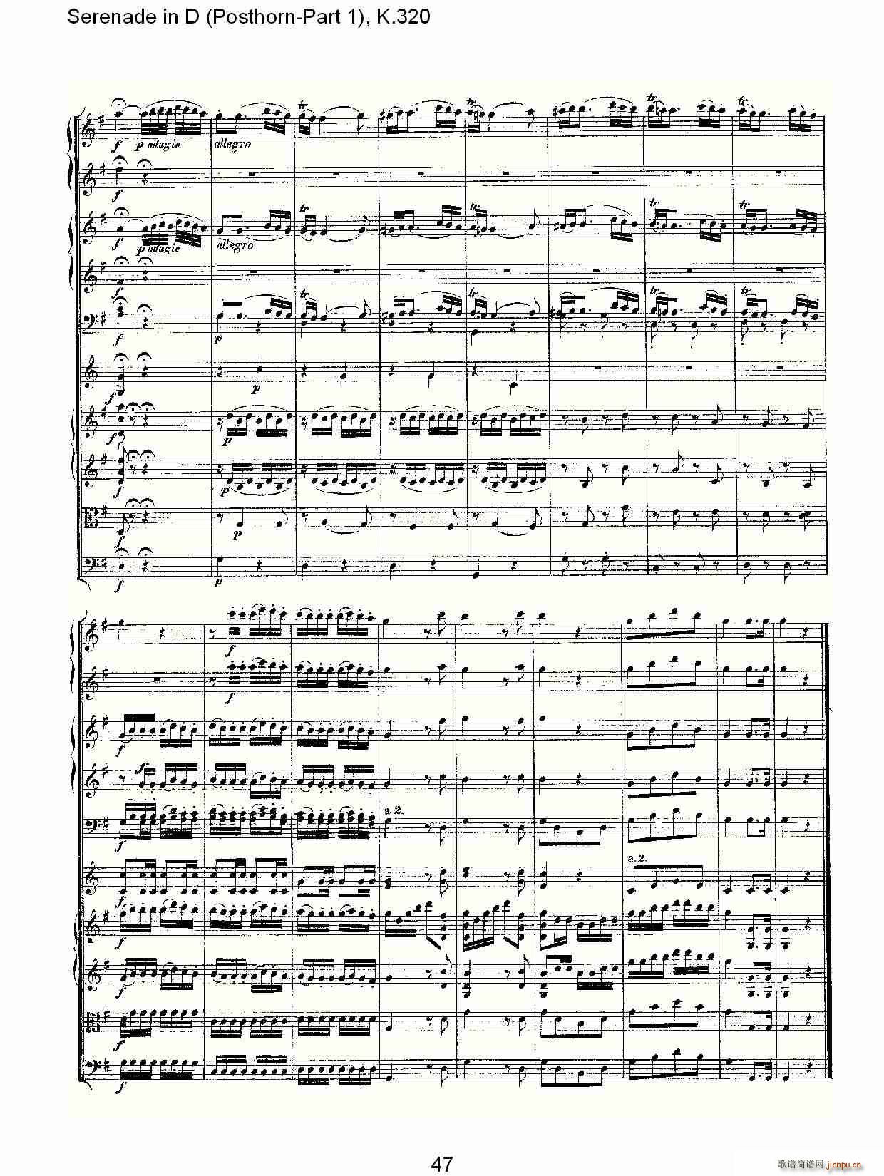 D�{Сҹ��(���ָ��V)12