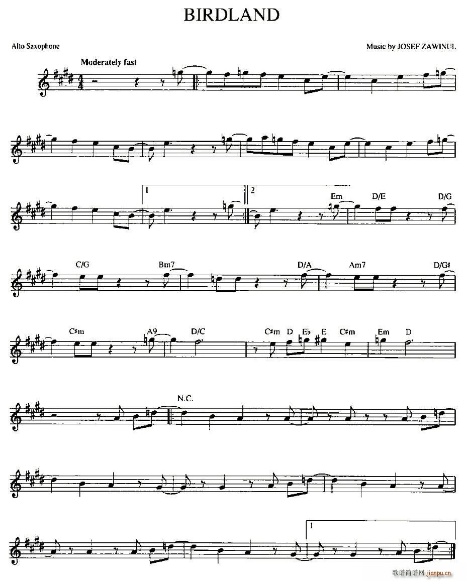 BIRDLAND(���ָ��V)1