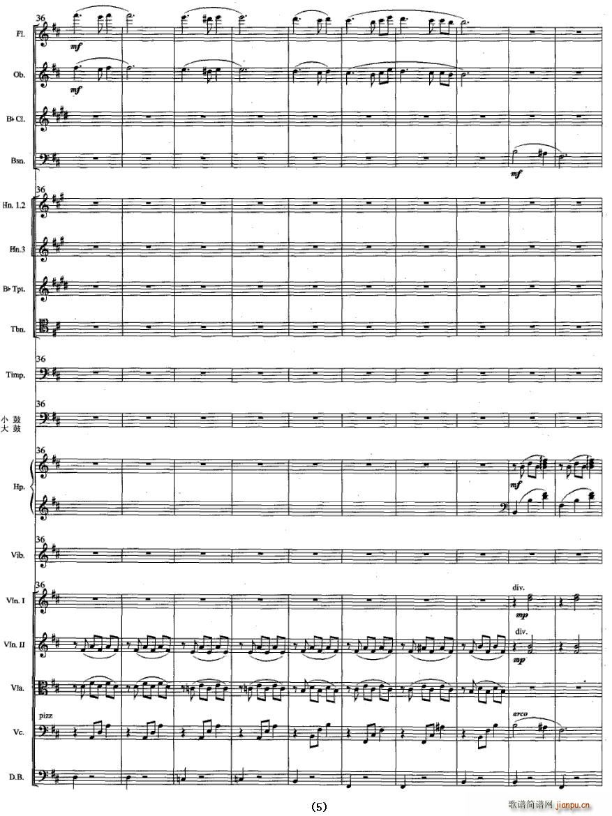 ���v����(���V)5