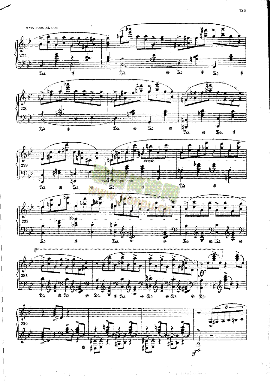 ������OP.23�I�P(p��n)�(l��i)���(������(l�� )�V)13