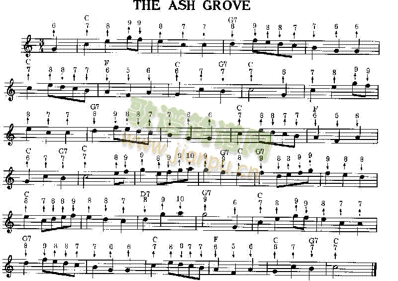 TheAshGrove�����V(������(l�� )�V)1