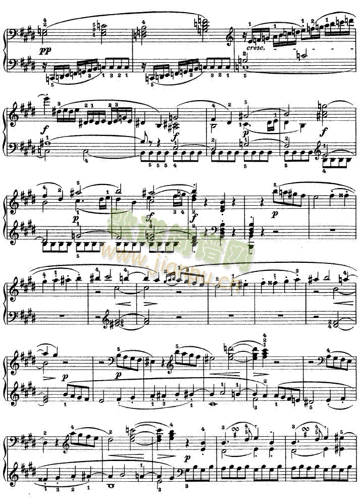 E���{�ھ�������Q����Op.14No��1(����V)5