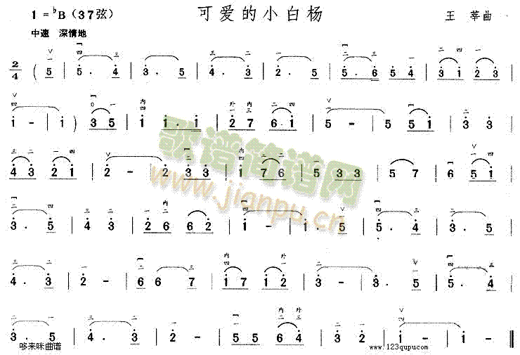 �ɐ�(��i)��С�ח�(�����V)1