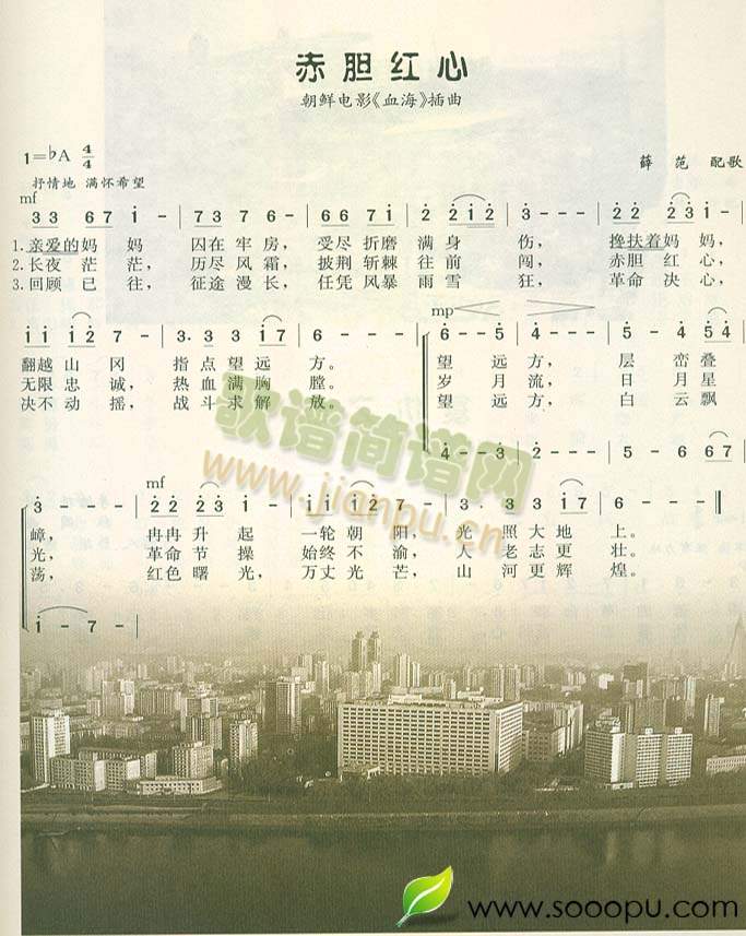 ��đ�t��(���ָ��V)1