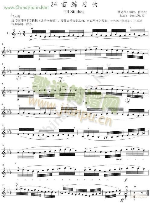 �D��(С�����V)1