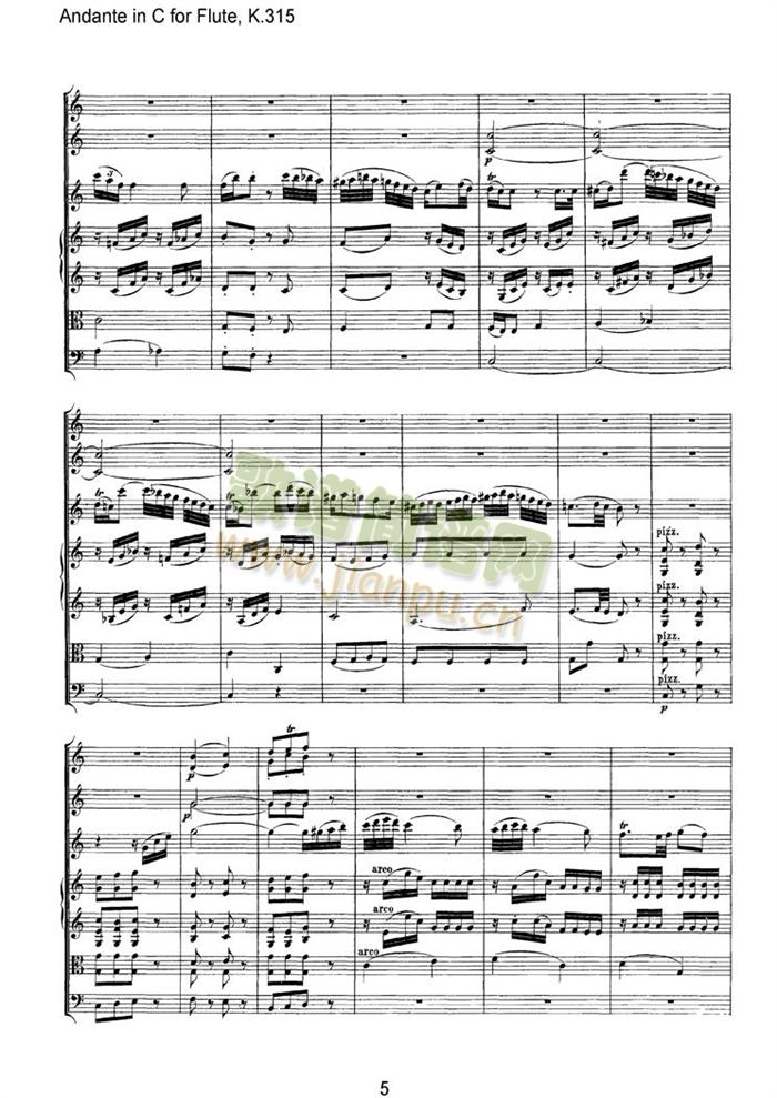 Andance(���V)5